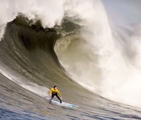 爱游戏登录入口 -莱比锡主帅放话：世俱杯季后赛必胜辽宁男篮，纳达尔冷笑回应